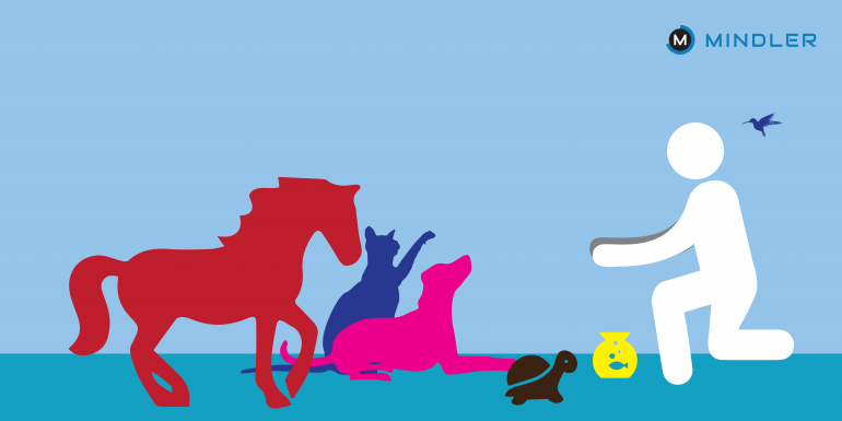 Careers for Animal Lovers