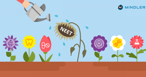 NEET career options