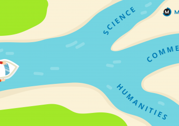 which stream to choose in class 11