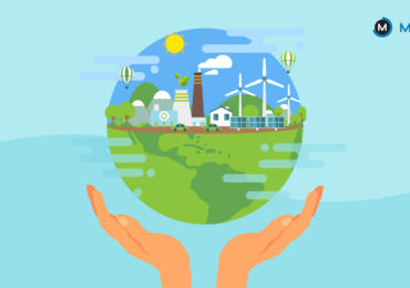 careers to protect the environment