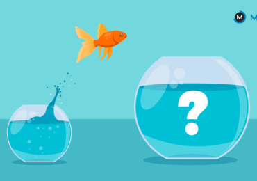 How to choose your career after boards