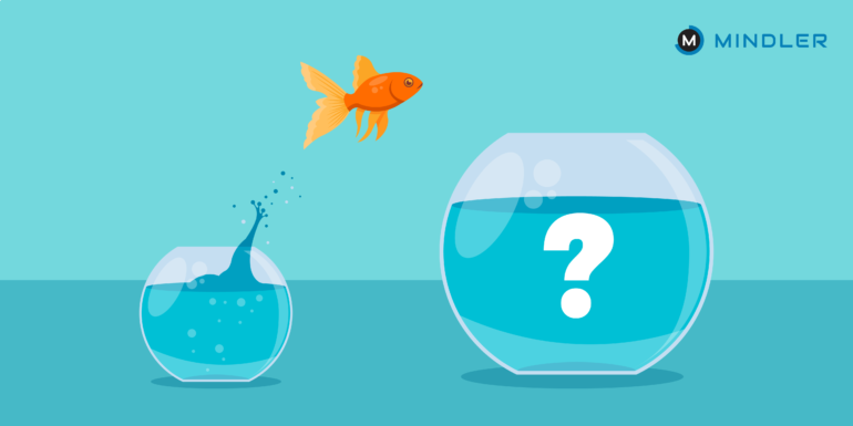 How to choose your career after boards