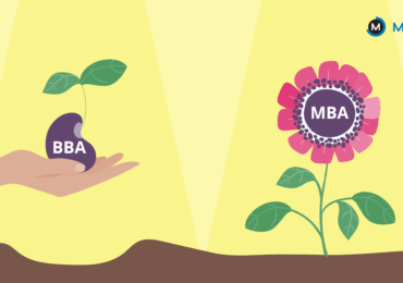 Career options after bba