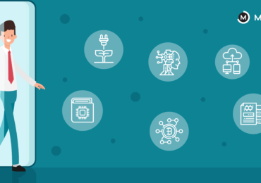 Career Options for Engineering Students