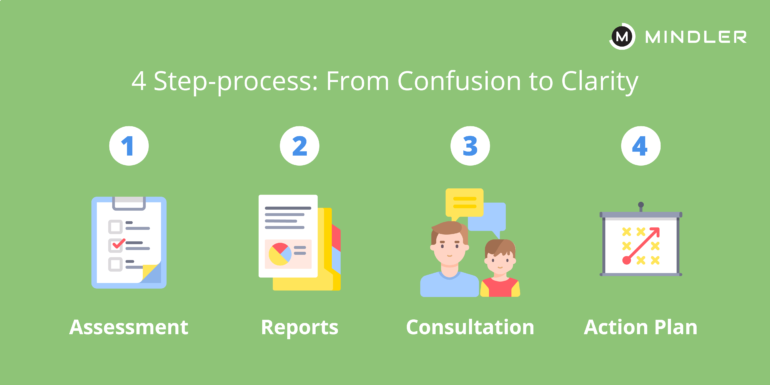 Mindler's Career Counselling Process, importance, and benefits