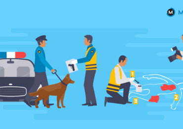 Career in Criminology