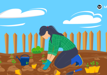 Career in Horticulture