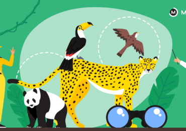 BSc Zoology career options