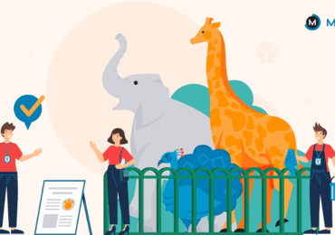 animal welfare courses in india